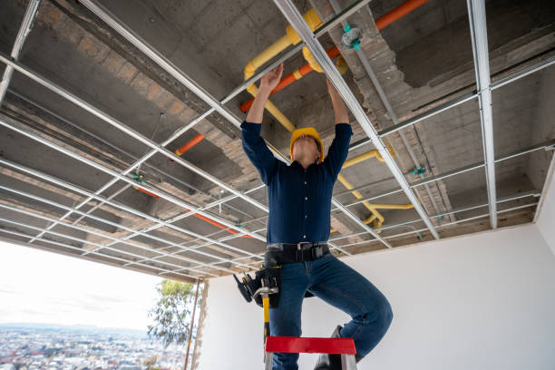 Best Local Plumber Services  in Bethpage, NY